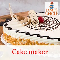 Cake maker Mrs. Nivedita Sarkar in Barisha